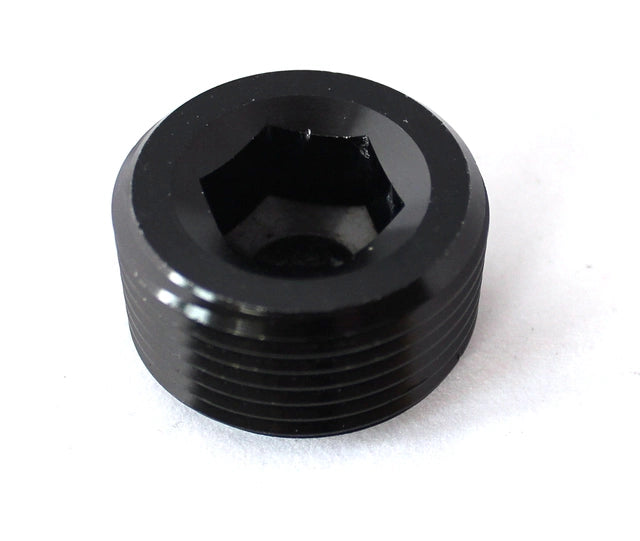 NPT Plug