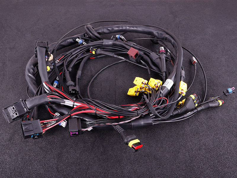 Terminated engine harness - GM LS GEN III/IV including MaxxECU RACE kit sérpöntun