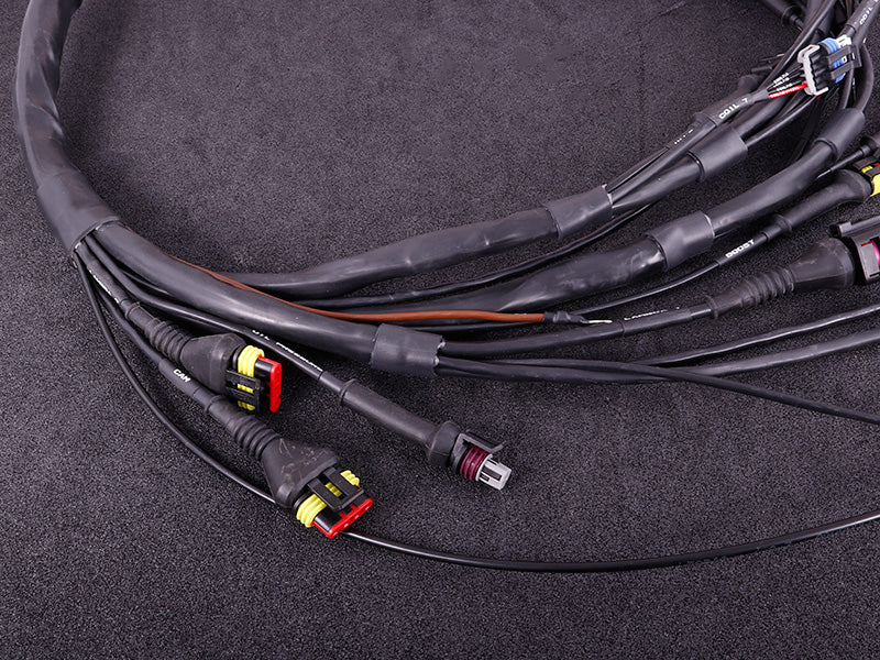 Terminated engine harness - GM LS GEN III/IV